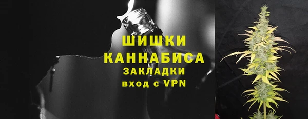 индика Рославль