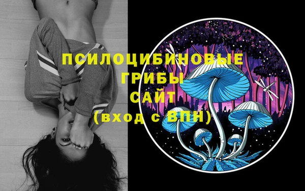 дмт Аркадак