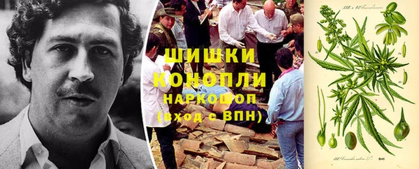 спиды Арсеньев