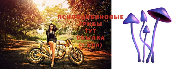 синтетический гашиш Ростов