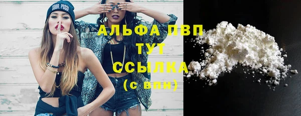 дмт Аркадак