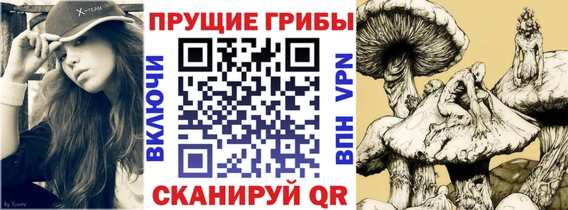 Псилоцибиновые грибы Cubensis  цена наркотик  Мензелинск 
